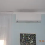 Davinci104 Alassio